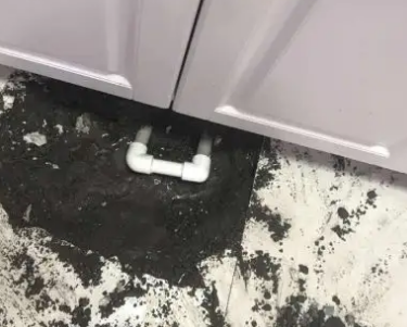 雷山查漏水哪家好